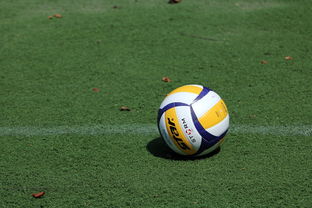 开云下载-女排世锦赛：中国队力压群雄，奖牌不断！，女排世锦赛名额